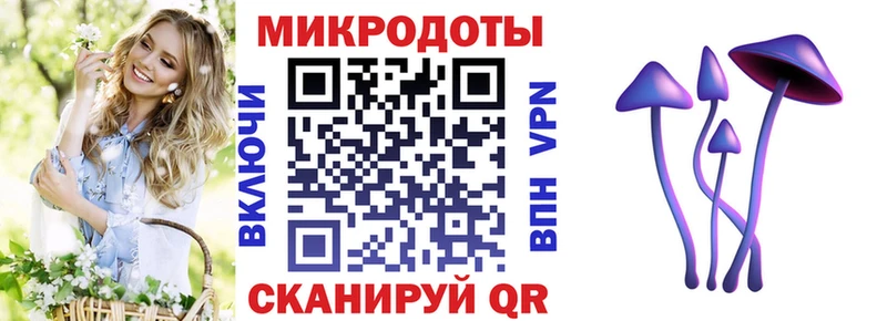 Псилоцибиновые грибы Psilocybe  блэк спрут онион  Берёзовка  мориарти как зайти  наркота 
